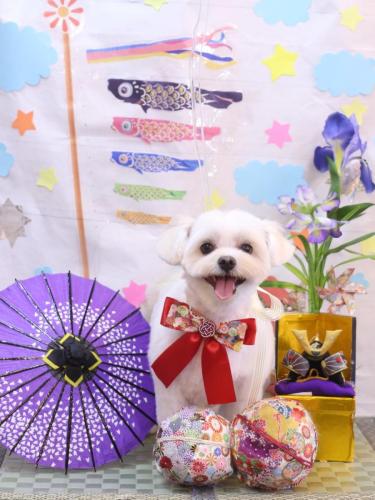 20240511うるちゃん